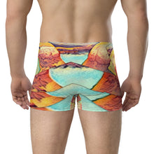 Load image into Gallery viewer, Boxer Briefs