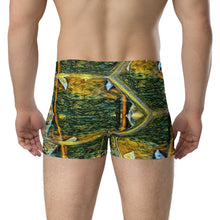 Load image into Gallery viewer, Boxer Briefs