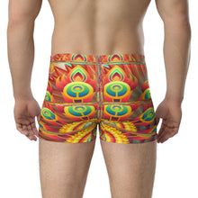 Load image into Gallery viewer, Boxer Briefs