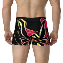 Load image into Gallery viewer, Boxer Briefs
