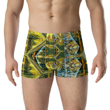 Load image into Gallery viewer, Boxer Briefs