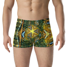 Load image into Gallery viewer, Boxer Briefs