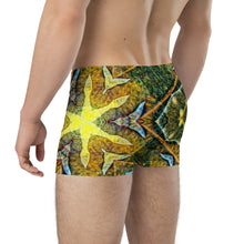 Load image into Gallery viewer, Boxer Briefs