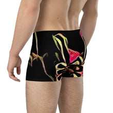 Load image into Gallery viewer, Boxer Briefs