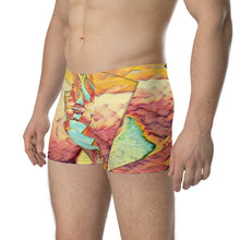 Load image into Gallery viewer, Boxer Briefs