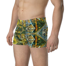 Load image into Gallery viewer, Boxer Briefs