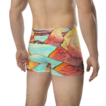 Load image into Gallery viewer, Boxer Briefs