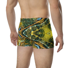 Load image into Gallery viewer, Boxer Briefs