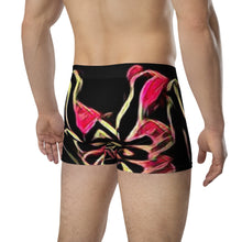 Load image into Gallery viewer, Boxer Briefs