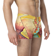 Load image into Gallery viewer, Boxer Briefs