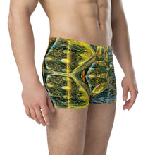 Load image into Gallery viewer, Boxer Briefs