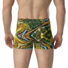 Load image into Gallery viewer, Boxer Briefs
